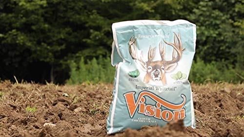 Whitetail Institute Vision Deer Food Plot Seed - 4 lbs for 0.5 Acres, Perennial Blend with Clover, Chicory & Kale