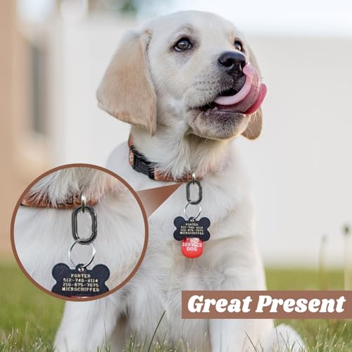 Oval Carabiner Clip - Bronze - Compact Metal Design