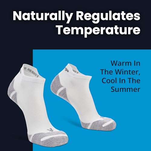 Balega Unisex Adult Running Socks Medium Wildberry Oriole No Show Tab Breathable Moisture-Wicking