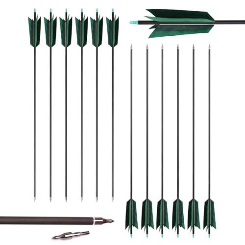 31 Inch Carbon Arrow with Turkey Feathers for Hunting & Target Practice - Spine 500
