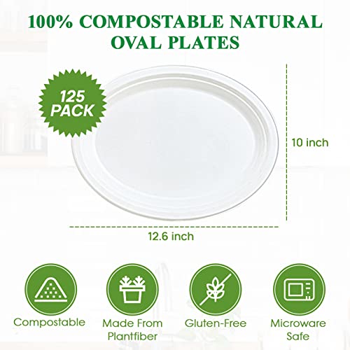 Vplus 12-Inch Compostable Oval Paper Plates 125 Pack White - Eco-Friendly Disposable Dinnerware
