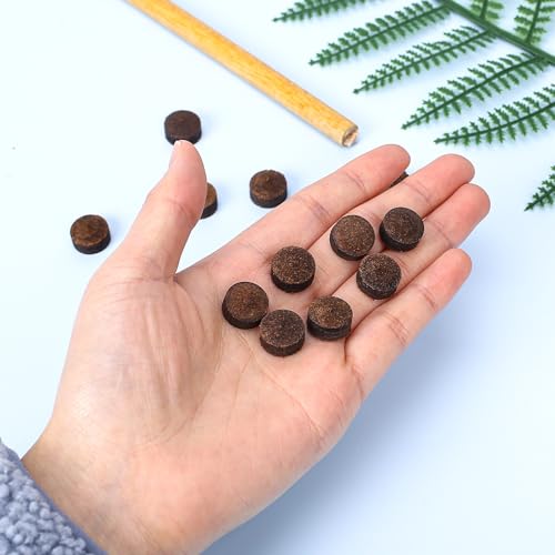 20pcs Billiard Cue Tips Replacement with Storage Box - Brown