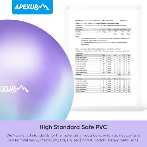 APEXUP 27-Inch Blue Purple XL Anti-Burst Yoga Ball with Pump, 75cm