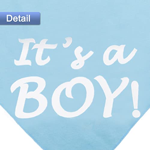 It's a Boy Dog Bandana - Pregnancy Announcement Pet Scarf