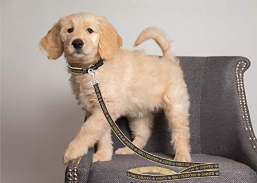 New Orleans Saints Pet Leash - Medium Durable Satin Dog & Cat Strap
