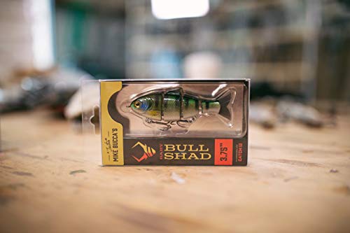 Catch Co Mike Bucca Baby Bull Shad Swimbait 3.75" 1/2 oz Bluegill - Fish Lure