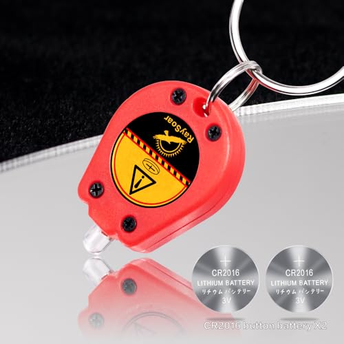 10 Pack Mini LED Keychain Flashlight - Multicolor Portable Light