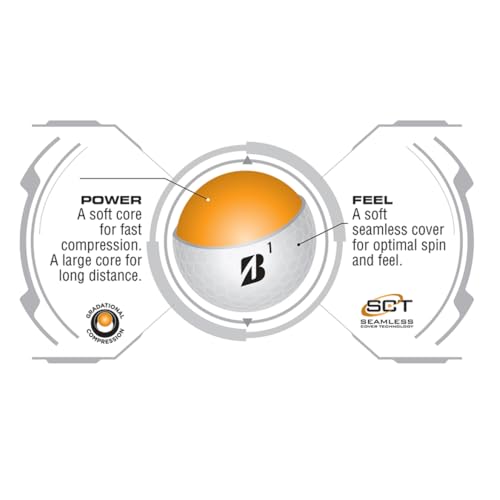 Bridgestone e6 Soft Golf Balls - 1 Dozen White