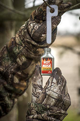 Key-Wick Scent Dispenser - 8-Pack for Deer Attraction