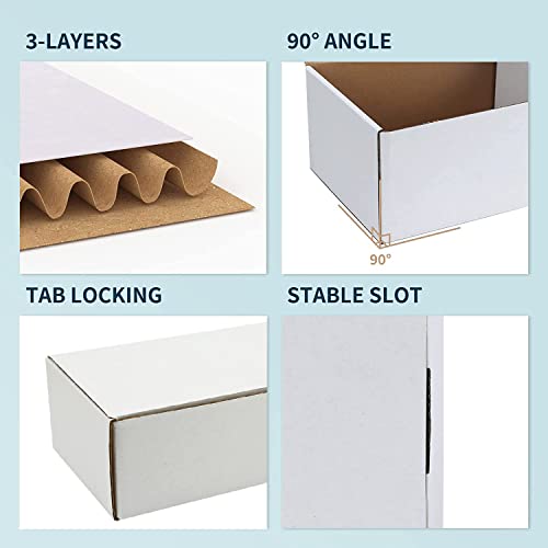 Trading Card Storage Box - 2-Pack White, Holds 1600 Cards