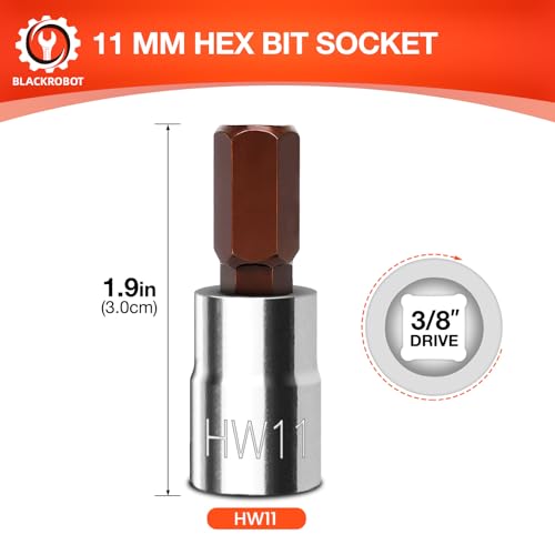 BLACKROBOT 11 mm Hex Bit Socket, 3/8 Inch Drive HW11 Allen Key Socket, Metric, Full Polished, S2 Steel Head Made For Repairing