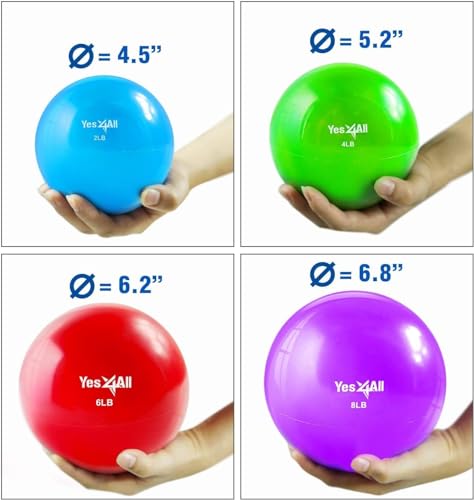 Weighted Toning Balls for Exercise - 2lbs Pair - Blue