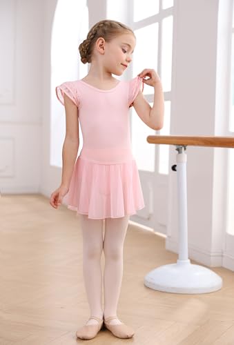 Ballet Leotard Dress for Toddler Ballerina - Ballet Pink, 4-5T