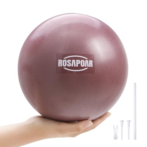 9-Inch Mini Pilates Ball - Anti-Burst Yoga Exercise Ball - Dark Purple