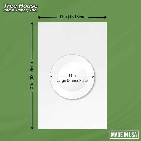 Packing Paper Sheets for Moving - 630 Sheets of Newsprint Paper - Must Have in Your Moving Supplies - 27" x 17" - Made in USA