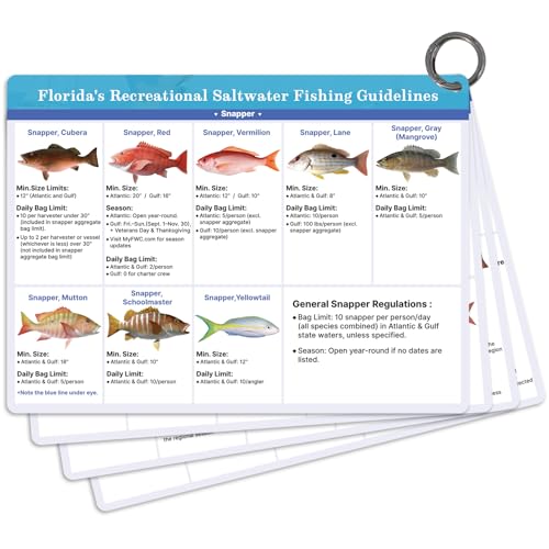 Florida Saltwater Fish & Shark Identification Set - Waterproof Guide Cards