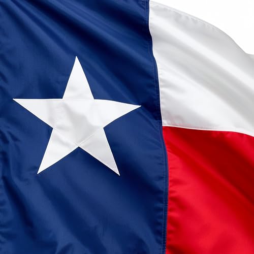 Rushmore Rose USA Texas Flag 4x6 ft Heavy Duty Outdoor Sewn State Banner with Brass Grommets