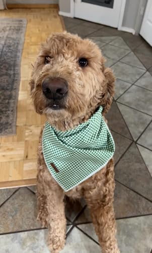 Dog Bandana for Small Dogs - Green & White Grid Triangle Scarf