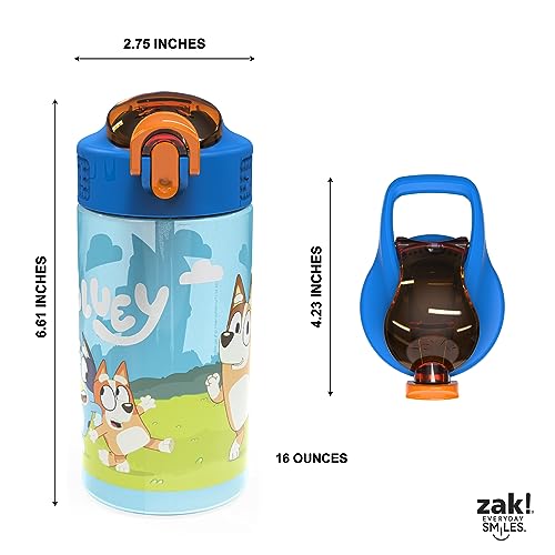 16oz Leak-Proof Kids Water Bottles - BPA Free, 2-Pack