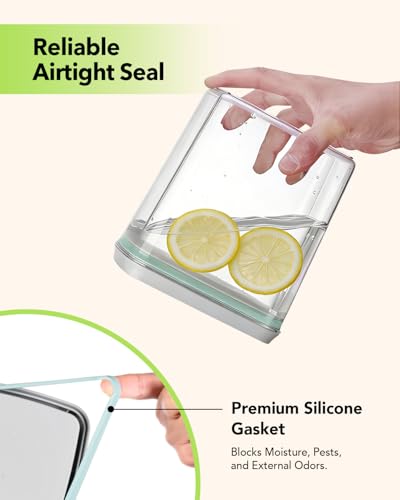 EQI 2.8QT Airtight Food Storage Container with One-Touch Lid for Pantry & Kitchen