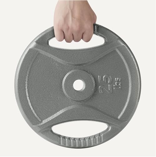 Amazon Basics 25 lb Grip Weight Plate, 1-Inch Center Hole – Cast Iron, Standard Barbell