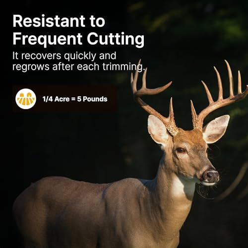 No Till Alfalfa Food Plot Seeds for Deer - 1/4 Acre (5 lbs) - Perennial, Heavy Browsing Tolerance