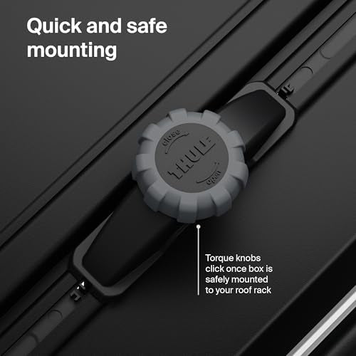 Roof-Mounted Cargo Box - Thule Force 3 XL Regular