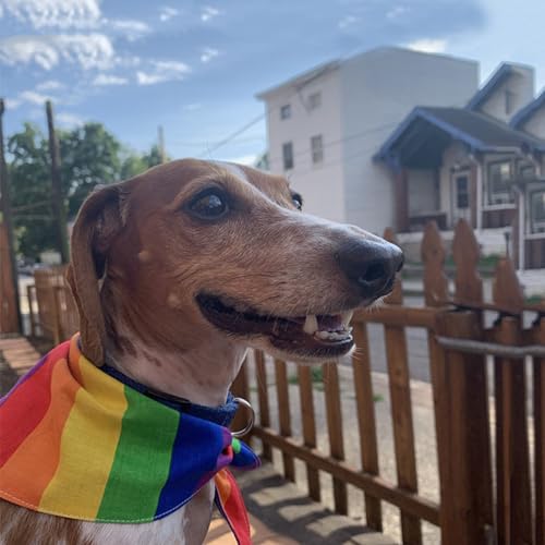 Rainbow Bandanas for Dogs - 2 Pack Cotton Handkerchiefs