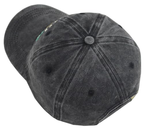 Limited 2001 Edition Baseball Cap for Men Women Adjustable Cotton Hat