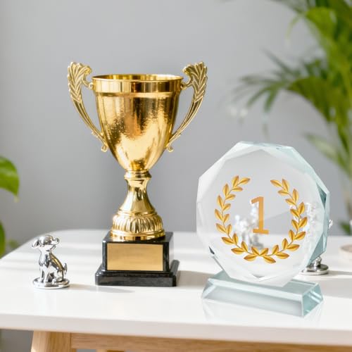 Octagonal Acrylic Award Frames - 3 Pack, 4x4 Inch DIY Trophies