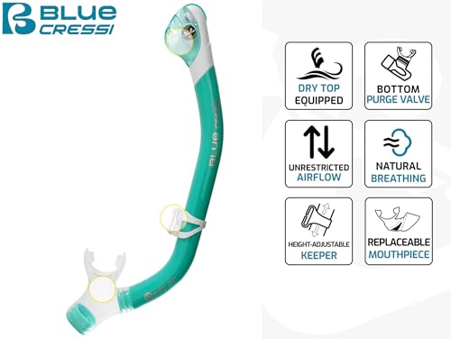 Cressi Adult Snorkeling Kit - Translucent Cobalt/Clear Mask & Dry Snorkel, Italy Design