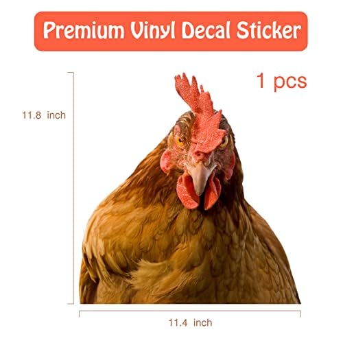 Chicken Brown Hen Looking at You Wall Decal - Peel and Stick Decoration for Room, Bedroom, Window, Store Showcase, Classroom, Car - Cute Chicken Head Sticker