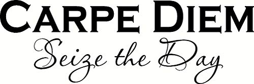 Carpe Diem Motivational Wall Decal 6 x 22 in - Inspirational Office & Home Decor