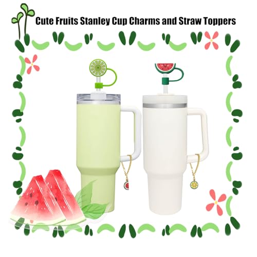 Fruit Straw Covers for Stanley Tumblers - 4Pcs Set, Fruit Series-2