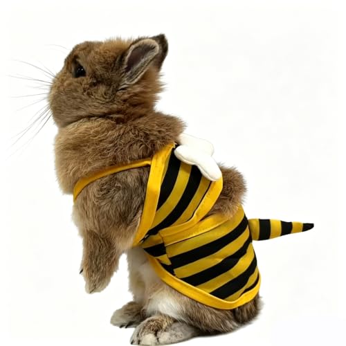Funny Dog Swimsuit - Cooling Summer Bikini for Small Dogs - Yellow Bee, X-Small