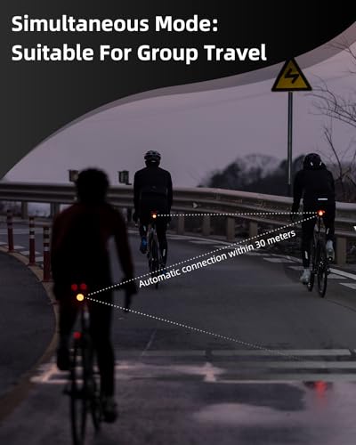 ROCKBROS Smart Rear Bike Tail Light with Motion Sensor and 6 Modes