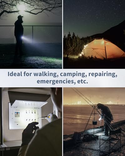 Mini LED Keychain Flashlight - 5 Pack, Black Shell with White Light