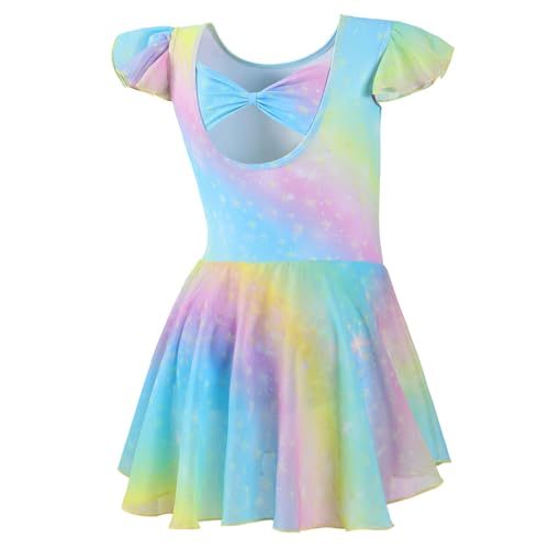 Girls Shiny Ballet Leotard Dress with Ruffle Sleeves - 4-6 Years Rainbow
