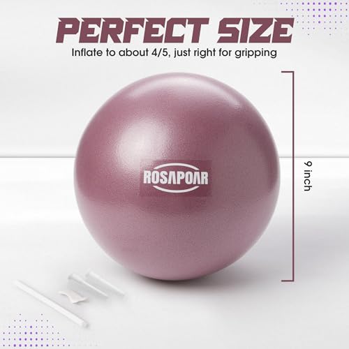 9-Inch Mini Pilates Ball - Anti-Burst Yoga Exercise Ball - Dark Purple