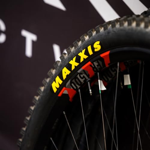 Maxxis DTH BMX Tire 20x1.75 Dual Compound Grooved Slick EXO Sidewall