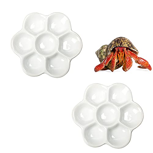 Ceramic Food Dish for Hermit Crabs - 2 Pcs with 7 Compartments
