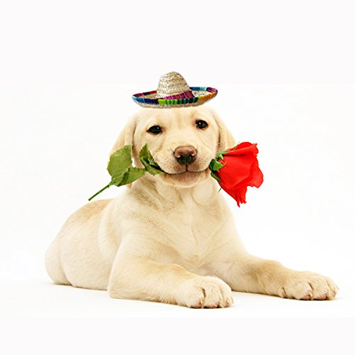 Mini Sombrero Top Hat Headband - Beige Fiesta Party Accessory