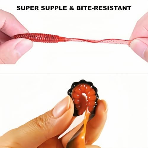 Houderrong 3in Curly Tail Grub Soft Swimbait Kit - 60 Pack, 6 Colors for Freshwater Fishing