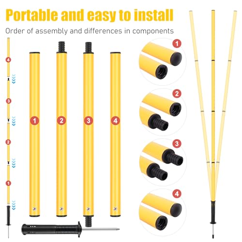 Soccer Agility Training Set - 6 Poles, Agility Ladder, 10 Cones