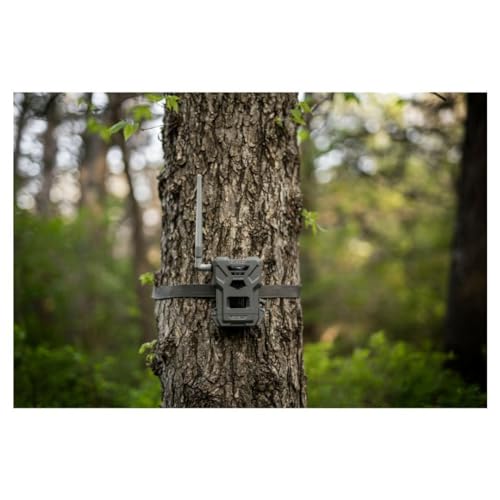 Cellular Trail Cameras Twin Pack - 28MP, Night Vision, IP65, GPS