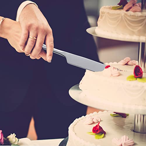Stainless Steel Cake Serving Set - Knife & Server - Silver