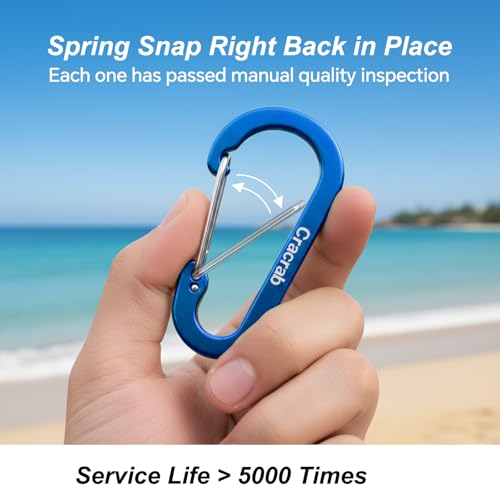 Carabiner Clip Variety Pack - Small, Medium, Large - 12 Colors