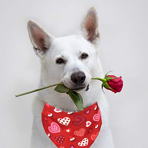 Valentine Dog Bandana Set - Heart Print Pet Scarf for Dogs & Cats - Large
