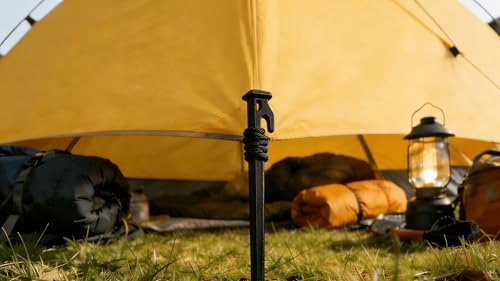 9-Inch Plastic Tent Stakes - Heavy Duty Black Camping Pegs, 16 Pack