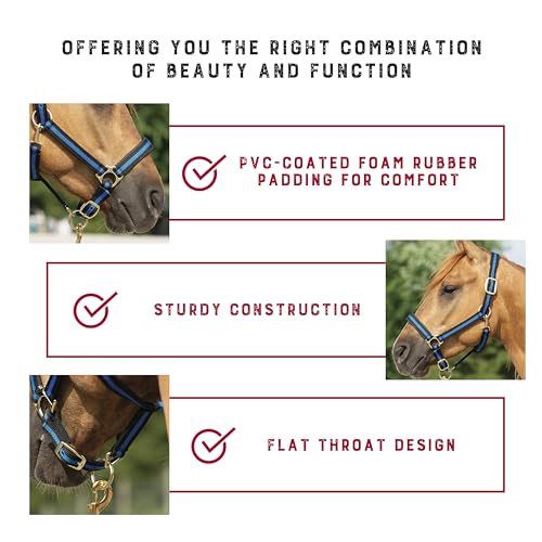 Nylon Horse Halter - Padded, Adjustable with Snap Hook - Black, 1"